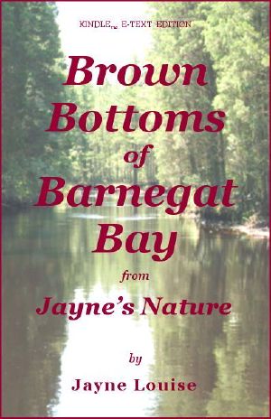 [Jayne's Nature 2005] • Brown Bottoms of Barnegat Bay